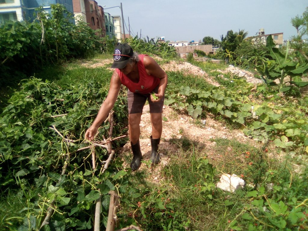 Olga, virtuosa mujer campesina