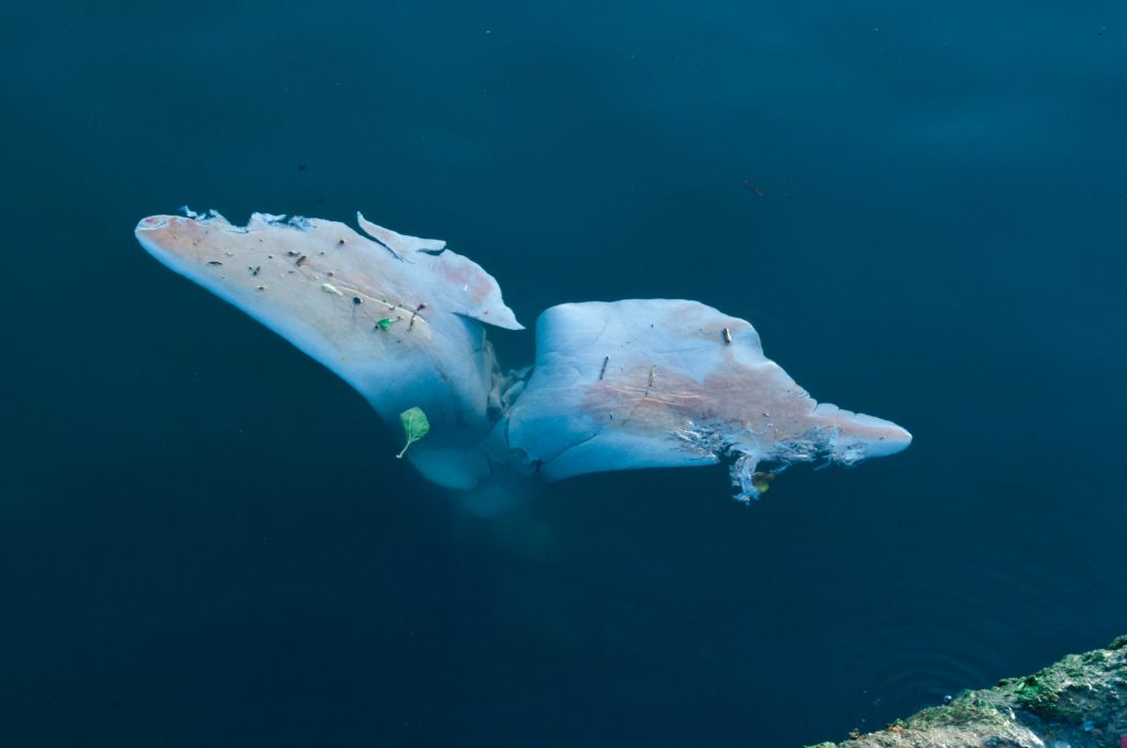 Misteriosos restos a orillas del San Juan