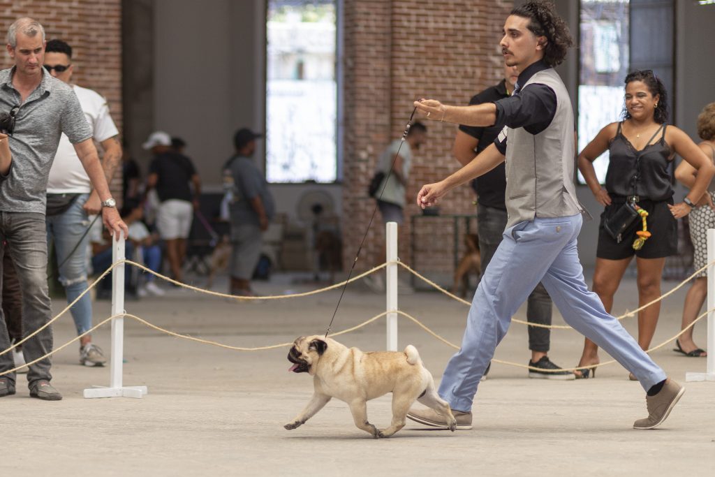 Elioenai Hernández García y su amor por los perros