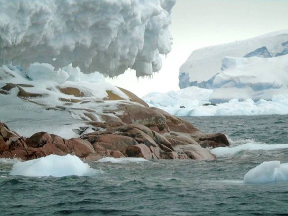 El deshielo costero en la Antártida develó una nueva isla