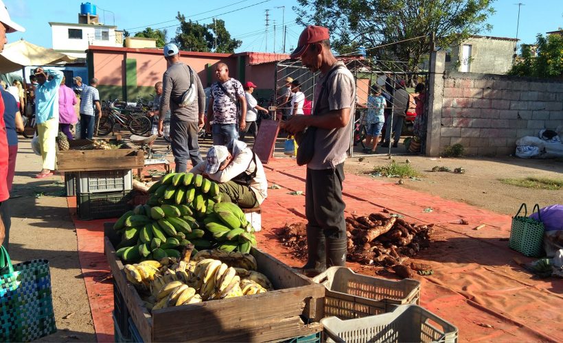 Garantizarán en Matanzas ofertas gastronómicas por fin de año