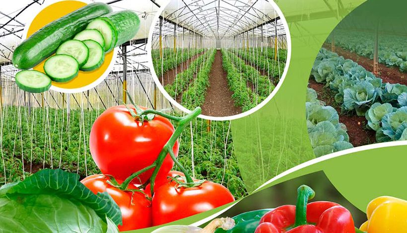La Ley de Soberanía Alimentaria y Seguridad Alimentaria define al sistema alimentario local como eje central para alcanzar la soberanía alimentaria.
