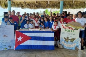 Cada 16 de junio se celebra el Día Mundial de las Tortugas Marinas para recordar los peligros por los que corren.