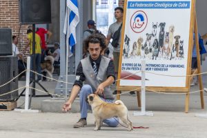 Elioenai Hernández García y su amor por los perros