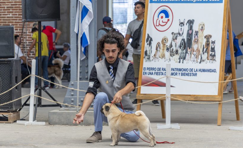 Elioenai Hernández García y su amor por los perros