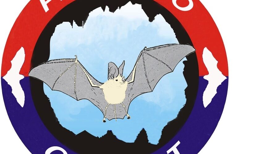 Logo del Proyecto Cubabat para la conservación de los murciélagos en Matanzas