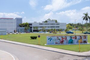 Pequeña extensión de tierra ubicada en un área interior del hospital Faustino Pérez contribuye con alimentación de pacientes.