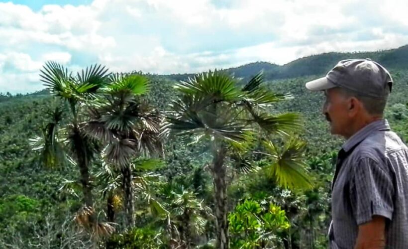 Carlos González González ligó su existencia a una rara especie botánica: el Melocactus Matanzanus León.