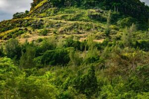 Loma de Pelo Malo