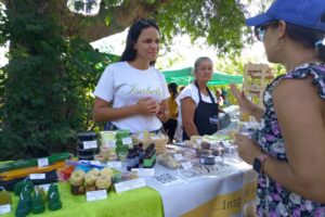 En los últimos años, los emprendimientos dedicados a la cosmética natural han ganado un amplio terreno en la Isla.