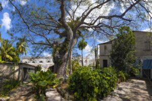 Viaje al interior de la Quinta Marcet: un algarrobo y un apellido ilustre