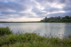 Es la laguna de oxidación, si a cualquier vecino de El Naranjal le preguntan cómo llamarla, pero de más está decir que los que nos oxidamos somos nosotros.