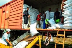 La llegada en el día de ayer de dos casillas por ferrocarril con 120 toneladas de arroz impulsará sin dudas la entrega de la canasta familiar normada, que iniciara desde principios de mayo en varios territorios matanceros.