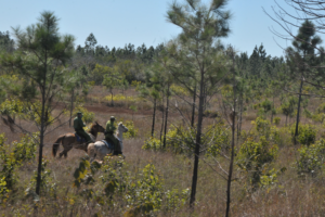 Patrullaje de bosques de la Empresa Agroforestal Matanzas