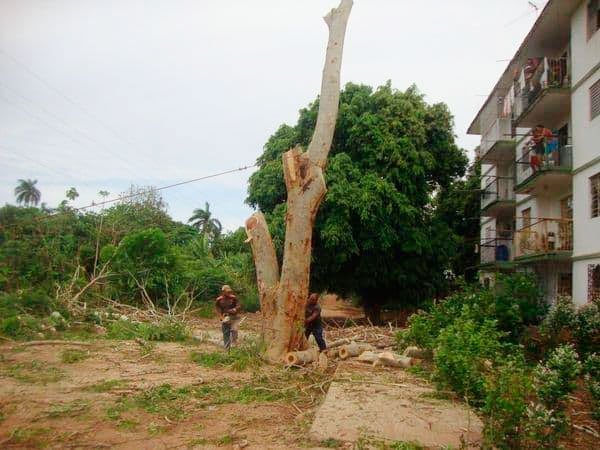 Los próximos días 31 de mayo y 1ro. de junio se realizará en la provincia de Matanzas el Ejercicio Popular para el accionar en situaciones de desastres Meteoro-2024