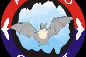 Proyecto para la conservación de los murciélagos CUBABAT