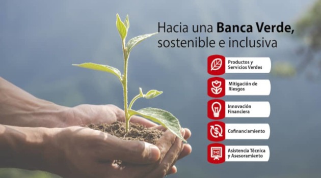 Bandec proyecta la banca verde