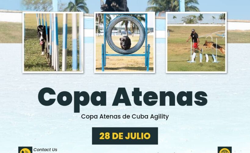 Copa Regional Atenas de Cuba del deporte canino