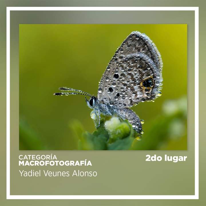 Premiados matanceros en Fotografía Naturaleza Digital Online 2024
