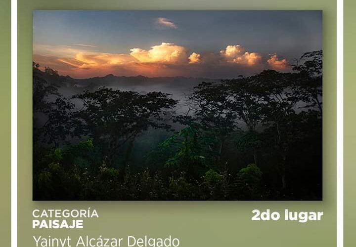 Premiados matanceros en Fotografía Naturaleza Digital Online 2024