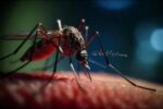 La situación higiénico-epidemiológica en Matanzas se mantiene estable, sin existir transmisiones de epidemias, según información brindada por el Centro Provincial de Higiene y Epidemiología.