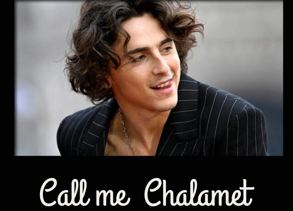 Cinemafilia: Call me Chalamet