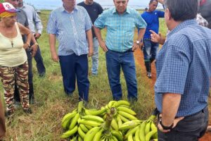 Morales Ojeda recalca que la producción debe reflejarse en la mesa del pueblo