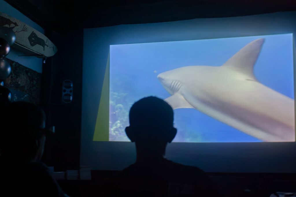 Medio ambiente y cine en la Gruta del San Juan