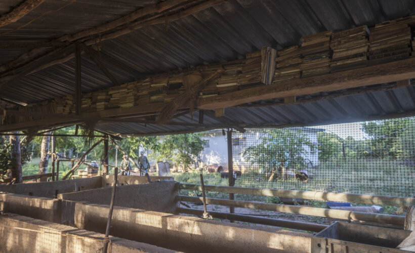 La “bibliochiquera” y los perros filósofos. Fotos: Raúl Navarro González inventario