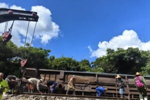 Se restablece la circulación de trenes por la Línea Central