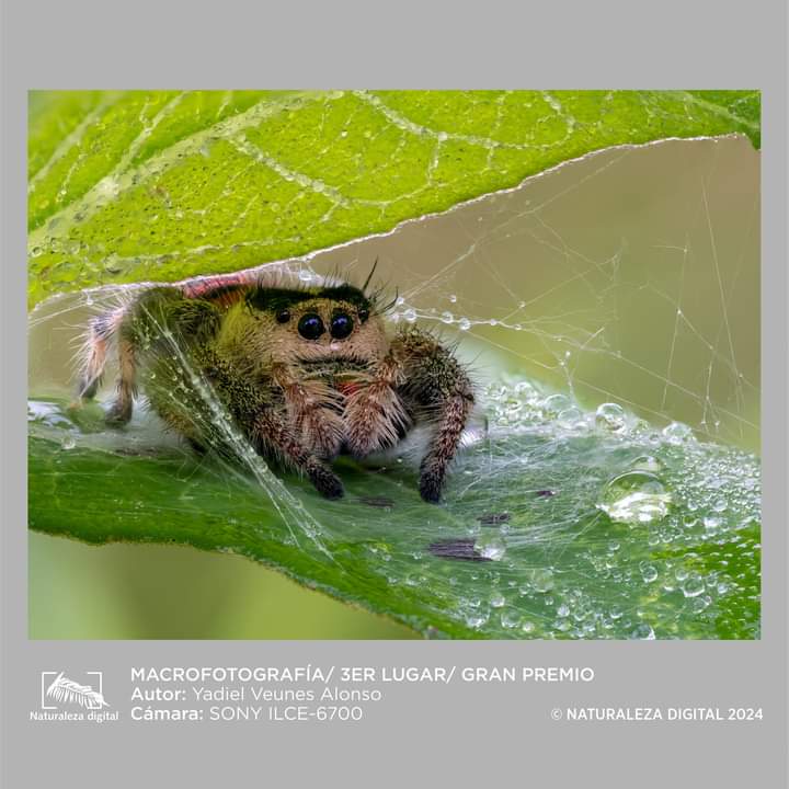 Fotografía en pos de preservar lo natural