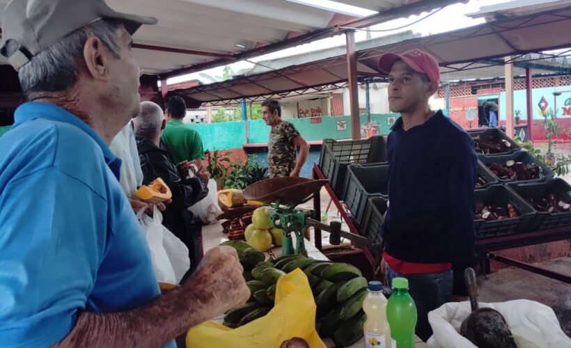 Contacto con productores, estrategia para llevar alimentos al pueblo