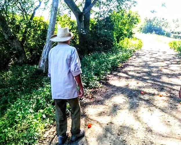 Guajiro en el Valle Yumurí