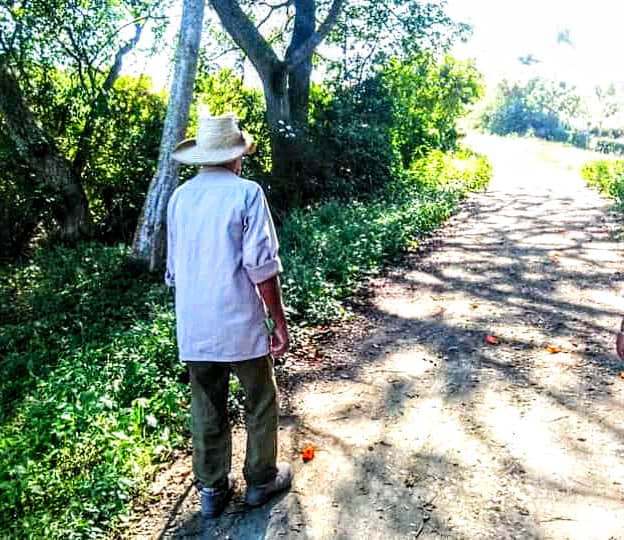 Guajiro en el Valle Yumurí