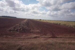 Construcción parque fotovoltaico en Colón