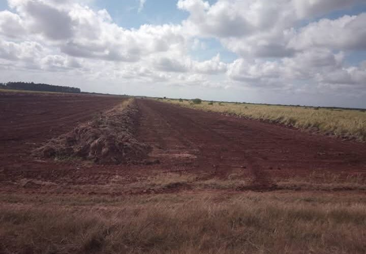 Construcción parque fotovoltaico en Colón