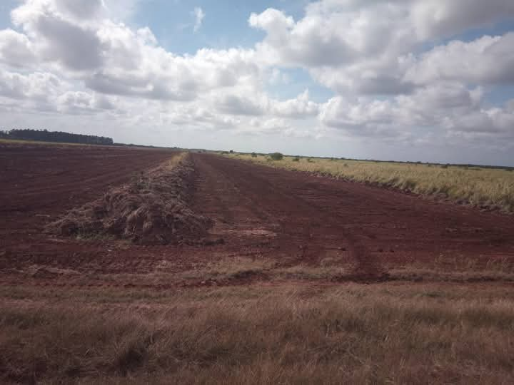 Construcción parque fotovoltaico en Colón