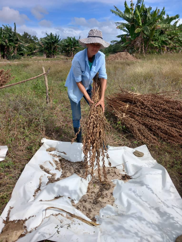 Mujer rural en el tránsito agroecológico