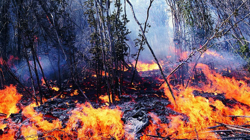 Guardabosques comienzan campaña de prevención contra incendios forestales