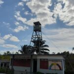 En la Ciénaga de Zapata los guardabosques salvaguardan el tesoro natural no solo de las llamas que pueden devastar sus zonas boscosas, sino también de la mano del hombre, a veces destructora de especies de la flora y la fauna.