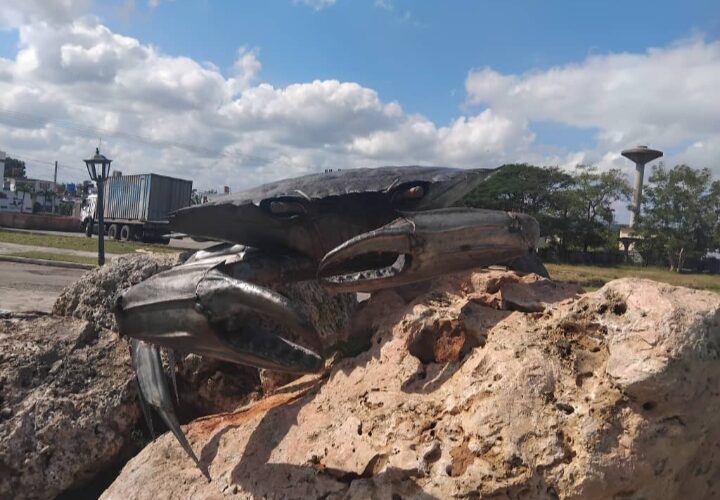 Postales Matanceras: Jaiba gigante en Matanzas