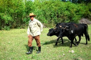 Armando Santana: domador de hierros y caballos