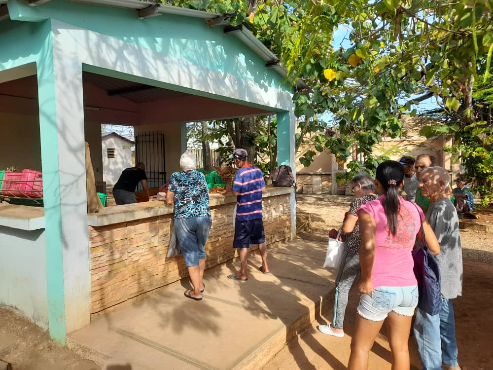 Realizadas con normalidad ferias matanceras