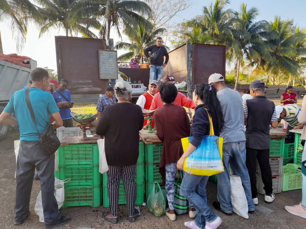 Realizadas con normalidad ferias matanceras