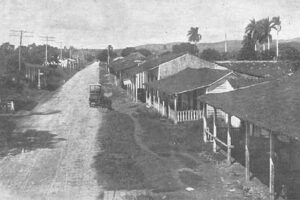 Postales Matanceras: Los selváticos de Ceiba Mocha