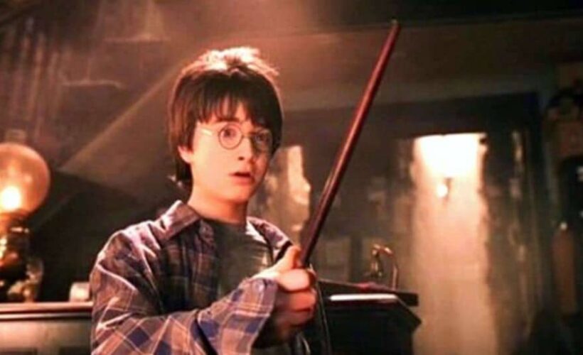 Cinemafilia: Nuestro amigo Potter