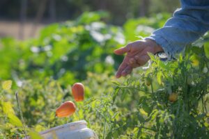 Entrega de usufructos a privados: ¿la ansiada solución?