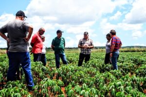 Autoridades exhortan a incrementar cultivos