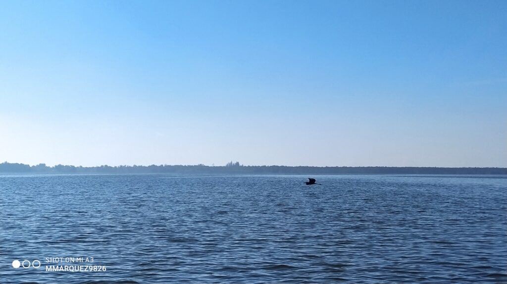 Ciénaga de Zapata. Foto: Miguel Márquez Díaz