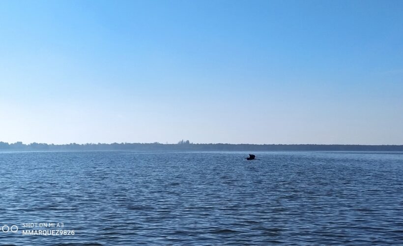 Ciénaga de Zapata. Foto: Miguel Márquez Díaz